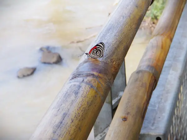 Nehirdeki ahşap bir teknenin yakın çekimi.