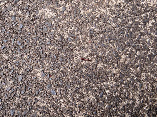 Küçük, kırmızımsı bir kırkayak asfaltın düz olmayan yüzeyinde hareket eder..