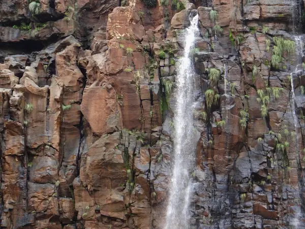  Güzel bir şelale desenli bir kaya yüzeyinden aşağı akar, küçük yeşil bitkiler taşa tutunur..