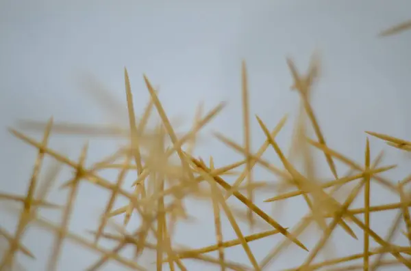 Üst üste binen ahşap kürdanlar kaotik soyut bir yapı oluşturuyor..