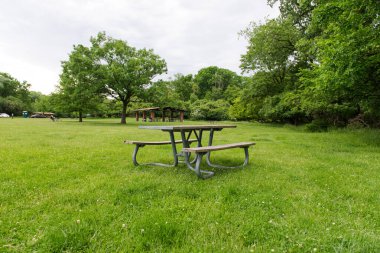 Park pikniği masasında dinlenme, dışarıda dinlenme. Eğlence alanındaki yeşil çimlerin üzerindeki banklar ve masalar.