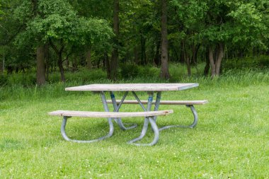 Park pikniği masasında dinlenme, dışarıda dinlenme. Eğlence alanındaki yeşil çimlerin üzerindeki banklar ve masalar.