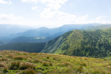 Dağlarda yürüyüş. Karpat Dağları. Dağlarda dinlenin. Yaz güneşli havalarda dağ manzarası. Dağ manzaraları.