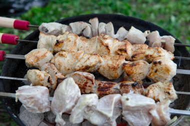 Mangal ızgarasında kızgın kömürün üzerinde ızgara yapılmış et parçaları. Bazı etler kısmen pişmiş, diğer parçalar çiğ görünüyor. Şişlerin ahşap sapları ve kırmızı aksanları vardır. Açık havada. Yeşil çimen.