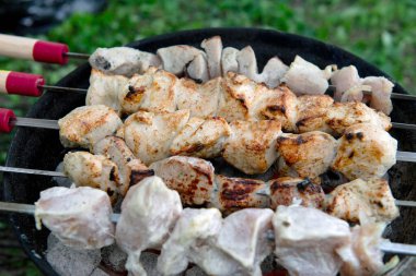 Mangal ızgarasında kızgın kömürün üzerinde ızgara yapılmış et parçaları. Bazı etler kısmen pişmiş, diğer parçalar çiğ görünüyor. Şişlerin ahşap sapları ve kırmızı aksanları vardır. Açık havada. Yeşil çimen.