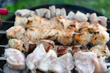 Mangal ızgarasında kızgın kömürün üzerinde ızgara yapılmış et parçaları. Bazı etler kısmen pişmiş, diğer parçalar çiğ görünüyor. Şişlerin ahşap sapları ve kırmızı aksanları vardır. Açık havada. Yeşil çimen.