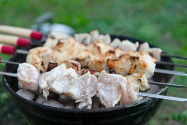 Mangal ızgarasında kızgın kömürün üzerinde ızgara yapılmış et parçaları. Bazı etler kısmen pişmiş, diğer parçalar çiğ görünüyor. Şişlerin ahşap sapları ve kırmızı aksanları vardır. Açık havada. Yeşil çimen.