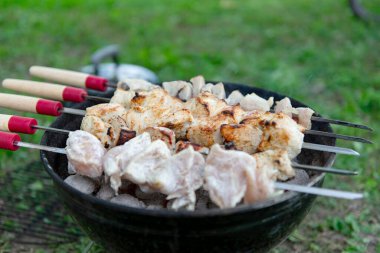 Mangal ızgarasında kızgın kömürün üzerinde ızgara yapılmış et parçaları. Bazı etler kısmen pişmiş, diğer parçalar çiğ görünüyor. Şişlerin ahşap sapları ve kırmızı aksanları vardır. Açık havada. Yeşil çimen.