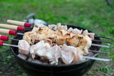 Mangal ızgarasında kızgın kömürün üzerinde ızgara yapılmış et parçaları. Bazı etler kısmen pişmiş, diğer parçalar çiğ görünüyor. Şişlerin ahşap sapları ve kırmızı aksanları vardır. Açık havada. Yeşil çimen.