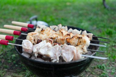 Mangal ızgarasında kızgın kömürün üzerinde ızgara yapılmış et parçaları. Bazı etler kısmen pişmiş, diğer parçalar çiğ görünüyor. Şişlerin ahşap sapları ve kırmızı aksanları vardır. Açık havada. Yeşil çimen.