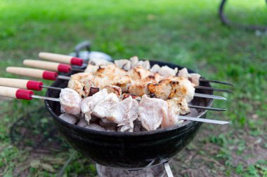 Mangal ızgarasında kızgın kömürün üzerinde ızgara yapılmış et parçaları. Bazı etler kısmen pişmiş, diğer parçalar çiğ görünüyor. Şişlerin ahşap sapları ve kırmızı aksanları vardır. Açık havada. Yeşil çimen.
