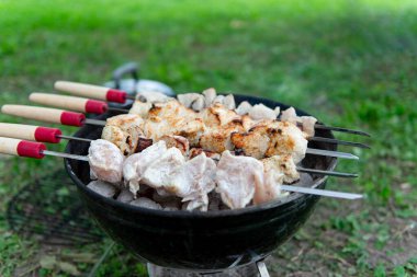 Mangal ızgarasında kızgın kömürün üzerinde ızgara yapılmış et parçaları. Bazı etler kısmen pişmiş, diğer parçalar çiğ görünüyor. Şişlerin ahşap sapları ve kırmızı aksanları vardır. Açık havada. Yeşil çimen.