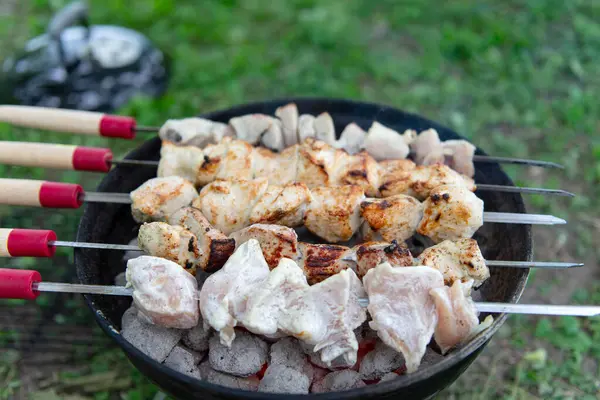 Mangal ızgarasında kızgın kömürün üzerinde ızgara yapılmış et parçaları. Bazı etler kısmen pişmiş, diğer parçalar çiğ görünüyor. Şişlerin ahşap sapları ve kırmızı aksanları vardır. Açık havada. Yeşil çimen.