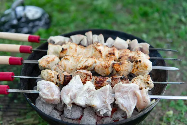 Mangal ızgarasında kızgın kömürün üzerinde ızgara yapılmış et parçaları. Bazı etler kısmen pişmiş, diğer parçalar çiğ görünüyor. Şişlerin ahşap sapları ve kırmızı aksanları vardır. Açık havada. Yeşil çimen.