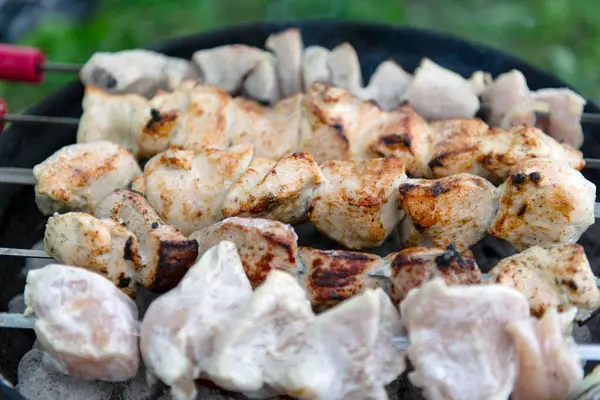 Mangal ızgarasında kızgın kömürün üzerinde ızgara yapılmış et parçaları. Bazı etler kısmen pişmiş, diğer parçalar çiğ görünüyor. Şişlerin ahşap sapları ve kırmızı aksanları vardır. Açık havada. Yeşil çimen.