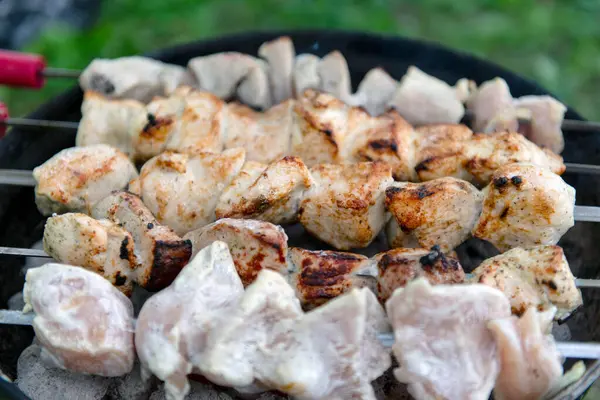 Mangal ızgarasında kızgın kömürün üzerinde ızgara yapılmış et parçaları. Bazı etler kısmen pişmiş, diğer parçalar çiğ görünüyor. Şişlerin ahşap sapları ve kırmızı aksanları vardır. Açık havada. Yeşil çimen.