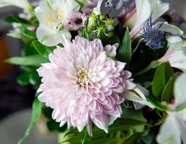 Pembe kasımpatı, beyaz zambaklar, güller, asterlar ve diğer mevsimlik çiçeklerden oluşan canlı bir çiçek buketi. Romantik, ilkbahar veya kutlama temaları için mükemmel. Kapalı alanda doğal ışıkta yakalandılar..