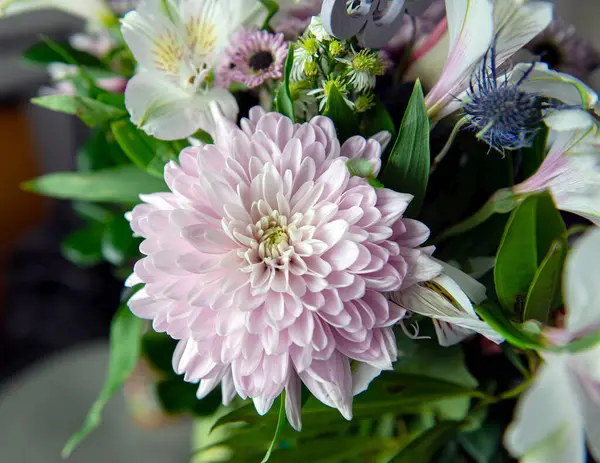 Pembe kasımpatı, beyaz zambaklar, güller, asterlar ve diğer mevsimlik çiçeklerden oluşan canlı bir çiçek buketi. Romantik, ilkbahar veya kutlama temaları için mükemmel. Kapalı alanda doğal ışıkta yakalandılar..