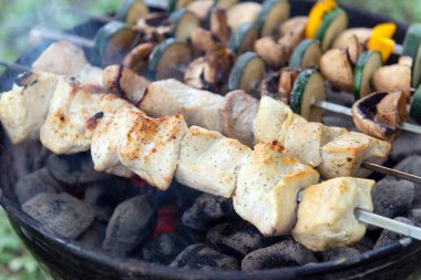 Izgara tavuk ve sebze şişleri. Siyah bir ızgarada yanan kömürlerin üzerinde. Piknik sırasında ya da kamp yaparken dışarıda yemek yapmak..