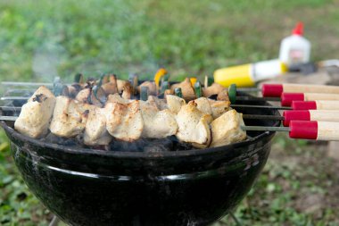 Izgara tavuk ve sebze şişleri. Siyah bir ızgarada yanan kömürlerin üzerinde. Piknik sırasında ya da kamp yaparken dışarıda yemek yapmak..