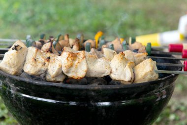 Izgara tavuk ve sebze şişleri. Siyah bir ızgarada yanan kömürlerin üzerinde. Piknik sırasında ya da kamp yaparken dışarıda yemek yapmak..