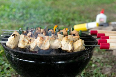 Lezzetli tavuk kebabı ve dilimlenmiş sebzeler ızgarada sıcak kömür üzerinde pişiyor. Lezzetli arka bahçe BBQ yemek hazırlığı.