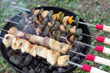 Izgara tavuk ve sebze şişleri. Siyah bir ızgarada yanan kömürlerin üzerinde. Piknik sırasında ya da kamp yaparken dışarıda yemek yapmak..