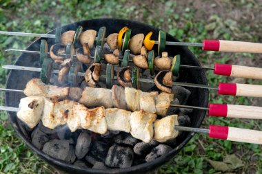 Lezzetli tavuk kebabı ve dilimlenmiş sebzeler ızgarada sıcak kömür üzerinde pişiyor. Lezzetli arka bahçe BBQ yemek hazırlığı.