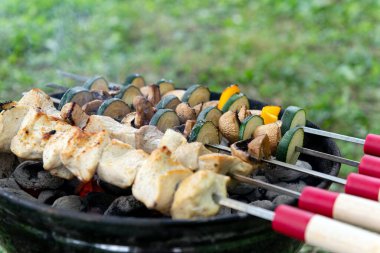 Lezzetli tavuk kebabı ve dilimlenmiş sebzeler ızgarada sıcak kömür üzerinde pişiyor. Lezzetli arka bahçe BBQ yemek hazırlığı.