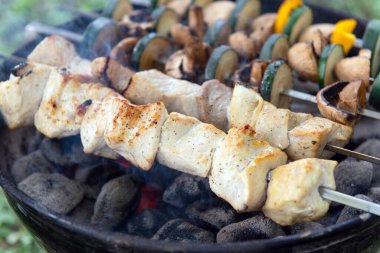Lezzetli tavuk kebabı ve dilimlenmiş sebzeler ızgarada sıcak kömür üzerinde pişiyor. Lezzetli arka bahçe BBQ yemek hazırlığı.