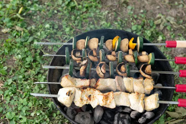 Sulu tavuk şişleri ve taze sebzeler dışarıda mangal kömürü mangalında kızartılıyor. Mükemmel bir yaz pikniği sahnesi.