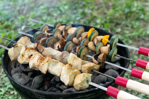 Sulu tavuk şişleri ve taze sebzeler dışarıda mangal kömürü mangalında kızartılıyor. Mükemmel bir yaz pikniği sahnesi.