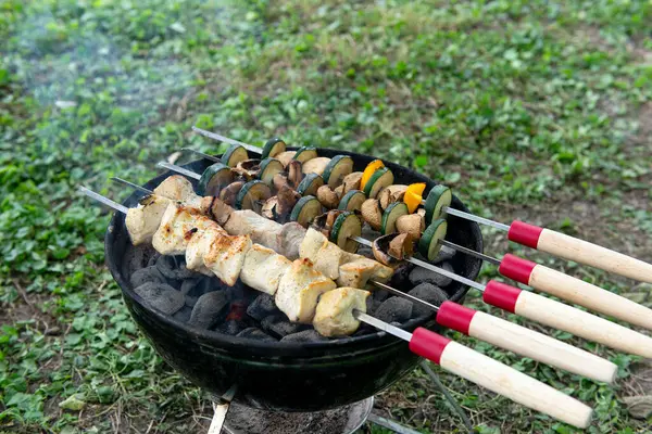 Sulu tavuk şişleri ve taze sebzeler dışarıda mangal kömürü mangalında kızartılıyor. Mükemmel bir yaz pikniği sahnesi.