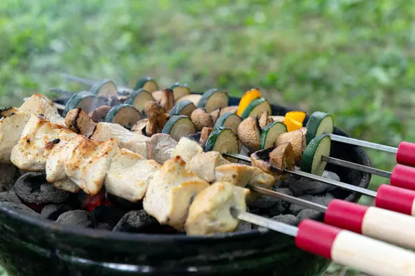 Izgara tavuk ve sebze şişleri. Siyah bir ızgarada yanan kömürlerin üzerinde. Piknik sırasında ya da kamp yaparken dışarıda yemek yapmak..
