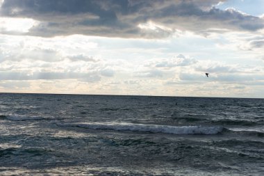 Yalnız bir martı, Michigan Gölü 'nün üzerindeki bulutlu gökyüzünde süzülür ve Chicago siluetinin silueti uzaktan görülebilir. Bu manzara doğal hareketle kentsel durgunluk arasındaki zıtlığı yakalar. Seyahat için ideal, na