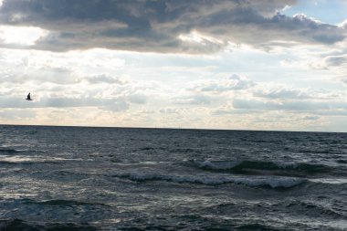 Michigan Gölü 'nün panoramik manzarası. Yumuşak dalgalar ve katmanlı bulutlarla dolu kasvetli bir gökyüzü. Chicago ufkunun uzak silueti ufukta görünüyor, derinlik ve ölçek hissi yaratıyor. Gün batımında doğal bir kıyı şeridinden ele geçirildi..