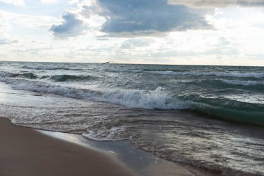 Fırtınalı göl üzerinde uçan kuş kumlu sahil yakınlarında dalgalanır. Michigan Gölü kıyısına çarpan dramatik dalgalar ve üzerinde uçan bir kuş. Suyun, rüzgarın ve özgürlüğün doğal manzarası. Seyahat ve doğa geçmişi için ideal..