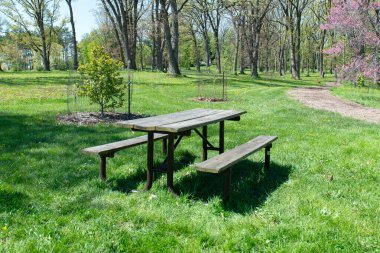 Boş ahşap piknik masası ve ağaçlarla dolu yeşil bir parkta banklar ve çiçek açan bahar çiçekleri, huzurlu bir açık hava dinlenme alanı..