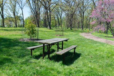 Boş ahşap piknik masası ve ağaçlarla dolu yeşil bir parkta banklar ve çiçek açan bahar çiçekleri, huzurlu bir açık hava dinlenme alanı..