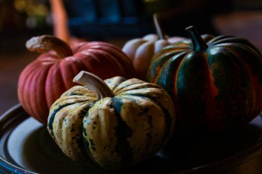 Beautiful photo of decorative pumpkins. Natural daylight play on perfect pumpkins of orange and green color. Halloween pumpkins captured in realistic daylight.
