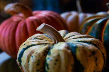 Beautiful photo of decorative pumpkins. Natural daylight play on perfect pumpkins of orange and green color. Halloween pumpkins captured in realistic daylight.