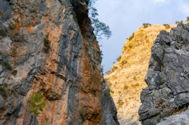 Rocky Mountains in Turkey. Vegetation on stone rocks. Detailed image of the mountainous terrain. Trees, bushes and grass on the rocks.