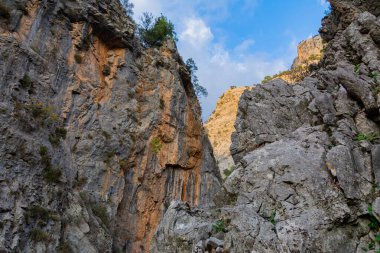 Rocky Mountains in Turkey. Vegetation on stone rocks. Detailed image of the mountainous terrain. Trees, bushes and grass on the rocks.