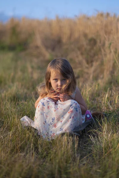 Güzel küçük kız çayırda çimlerde oturuyor. Yaz tarlasında güzel bir kızın portresi. Bir çocuğun güzel gözlerindeki piercing ve ciddi bakış..