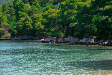 Güzel bir göl manzarası, çam ormanı ve vahşi plaj manzarası. Adriyatik Denizi 'nin muhteşem turkuaz suları, arka planda dağlar görülebilir..