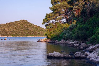 Adriyatik Körfezi, sahilden güzel manzara. Yeşil çam ağaçları, demirli kayalar ve sakin sular. Arka plandaki ormanı yakın..