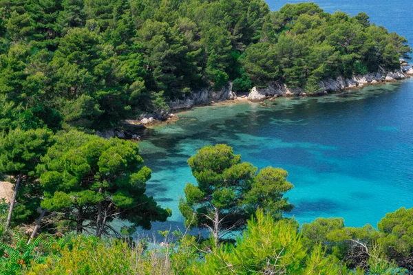 stock image Amazing landscape overlooking a beautiful lagoon, pine forest and wild beach. Wonderful turquoise water of the Adriatic Sea, Mountains are visible on the background.