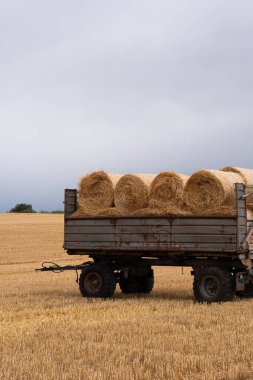 Yuvarlak saman balyalarıyla dolu bir karavan. Hasat ettikleri ve samanı balyalara çevirdikleri tarla. Karavanın yanında balyalarla duran saman balyaları henüz toplanmadı. Bulutlu hava, kasvetli, dramatik gökyüzü.