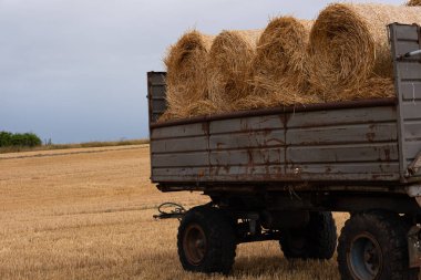 Yuvarlak saman balyalarıyla dolu bir karavan. Hasat ettikleri ve samanı balyalara çevirdikleri tarla. Karavanın yanında balyalarla duran saman balyaları henüz toplanmadı. Bulutlu hava, kasvetli, dramatik gökyüzü.