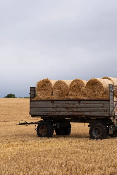 Yuvarlak saman balyalarıyla dolu bir karavan. Hasat ettikleri ve samanı balyalara çevirdikleri tarla. Karavanın yanında balyalarla duran saman balyaları henüz toplanmadı. Bulutlu hava, kasvetli, dramatik gökyüzü.